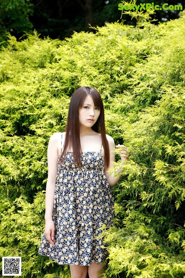Shiho - Cerampi Checks Uniforms No.3a54ab